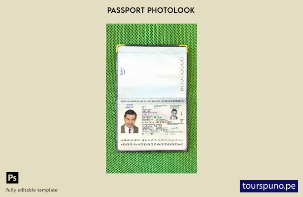 listo para imprimir plantilla de aspecto fotográfico del pasaporte de Moldavia (